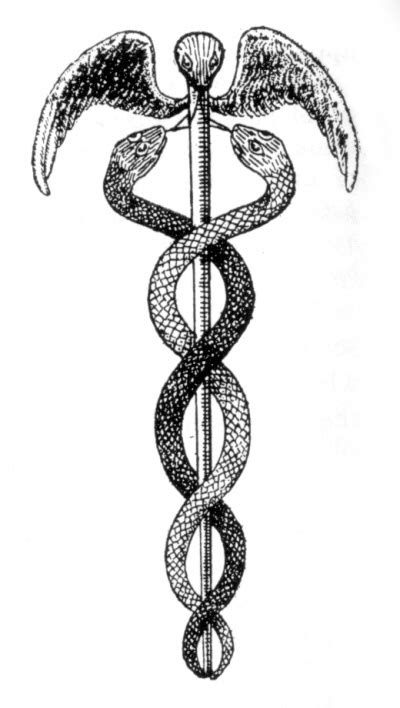 hermes twin snakes|what is hermes staff called.